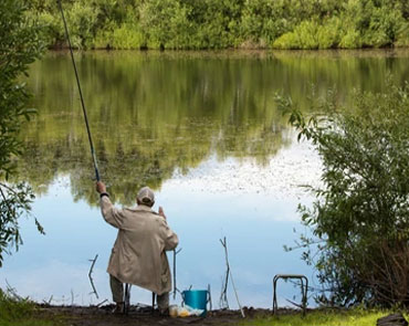 Fishing in the pond