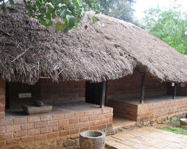 Village safari on bullock cart / Cycle ride